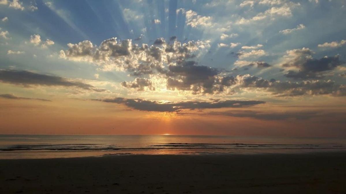 Strand83 Egmond aan Zee Exterior foto